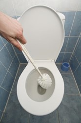 Scrubbing a Toilet